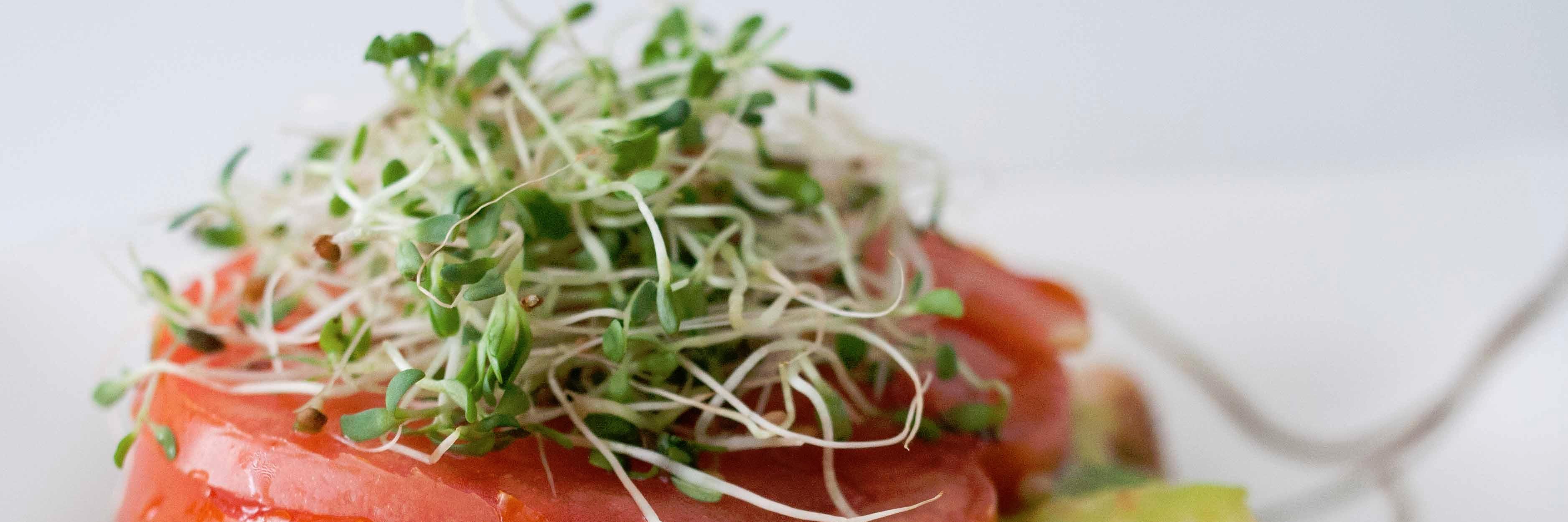 Health Digezt banner