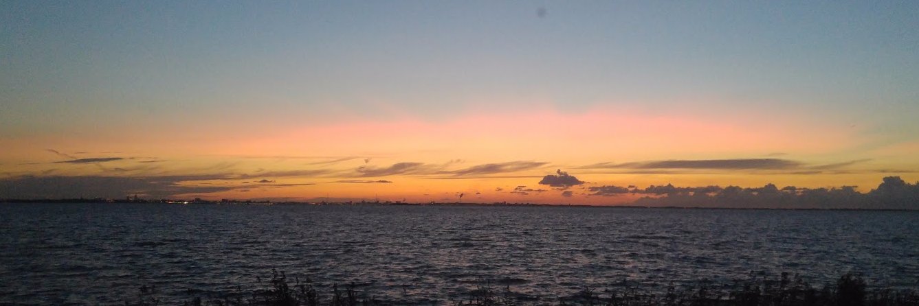 Rudolf van der Berg banner