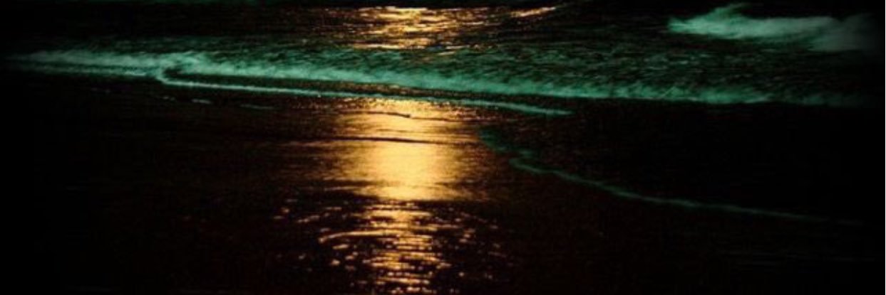 ASaneoret's profile banner image