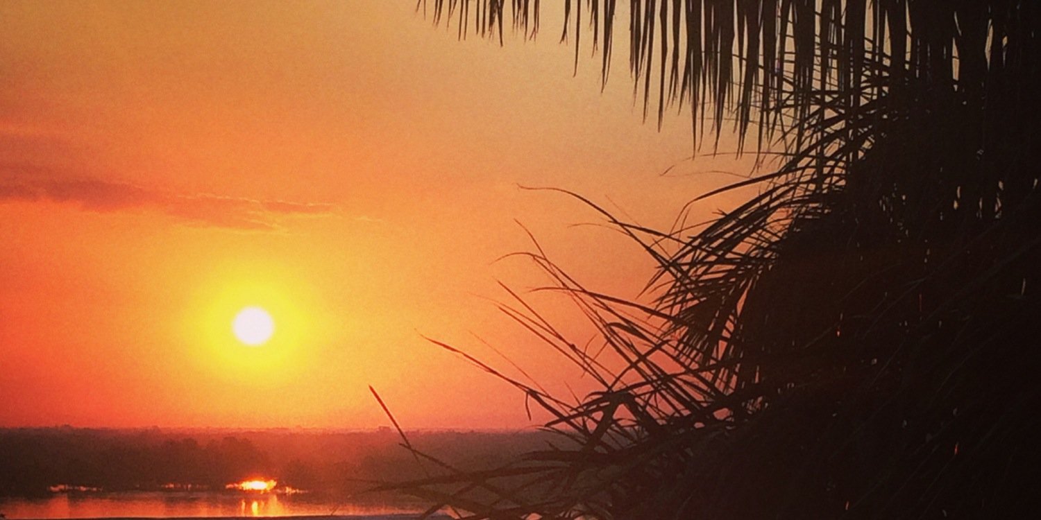 Soni Biedermann S. banner