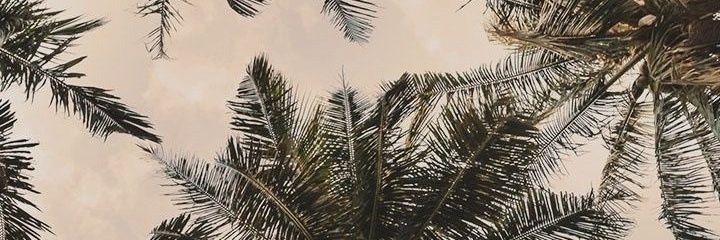 ريَان banner