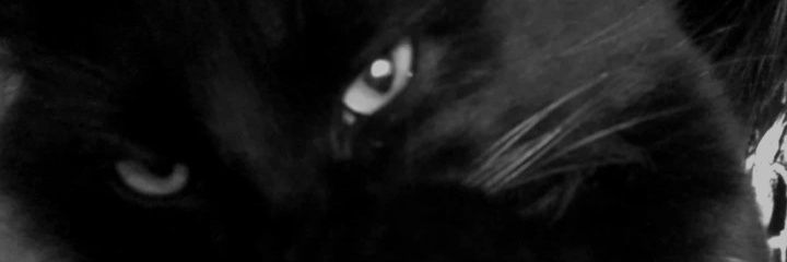 EQSMDR's profile banner image