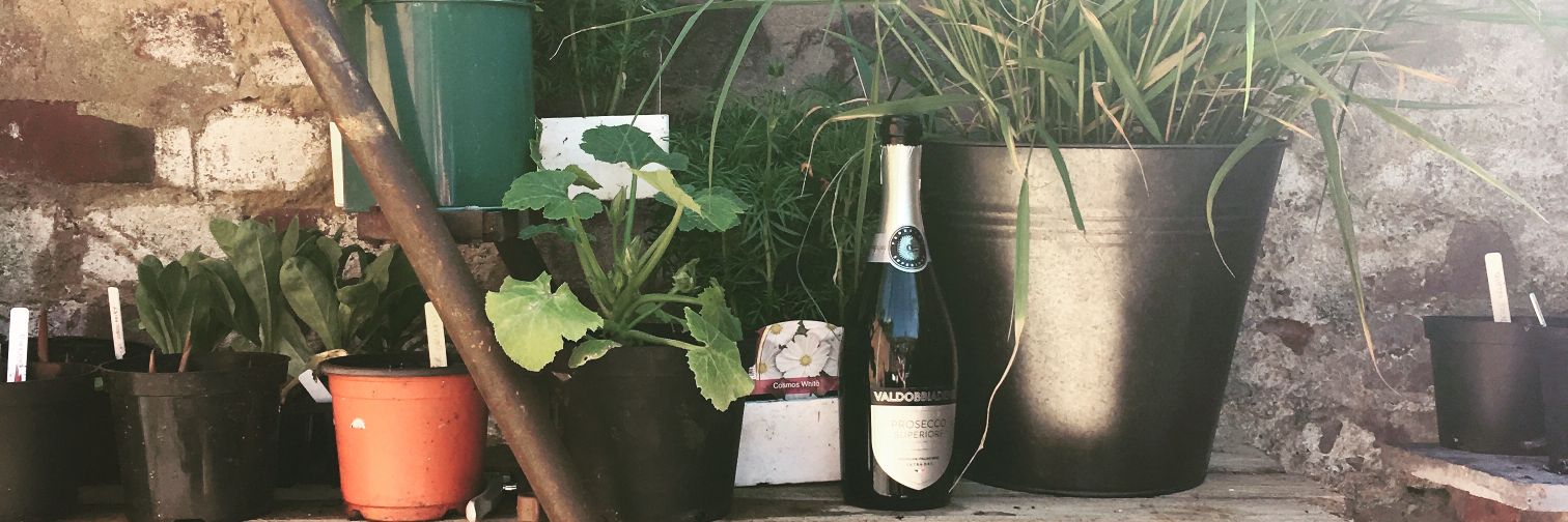 AbigailHutton_'s profile banner image