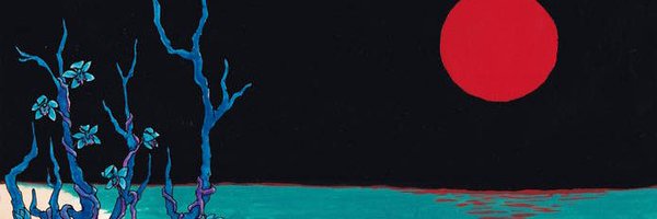 fishyth1ngy Profile Banner