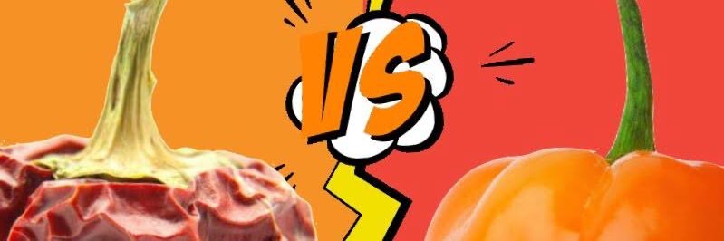 SalsaRanchero's profile banner image
