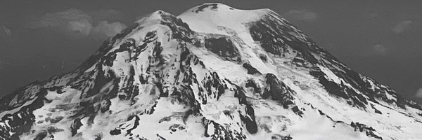 callistusditah Profile Banner