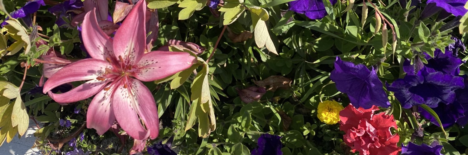 kingkatie17's profile banner image