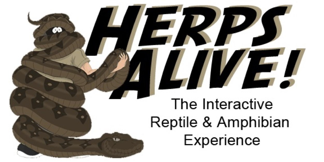 HerpsAlive's profile banner image