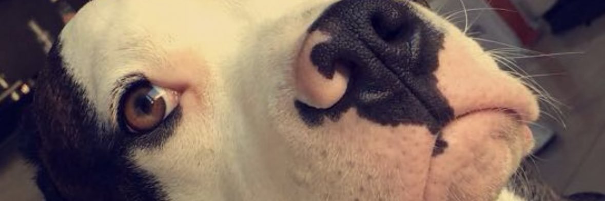 Rodriigoteraa24's profile banner image