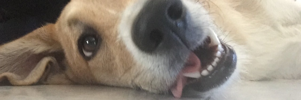 Fabyyanas's profile banner image