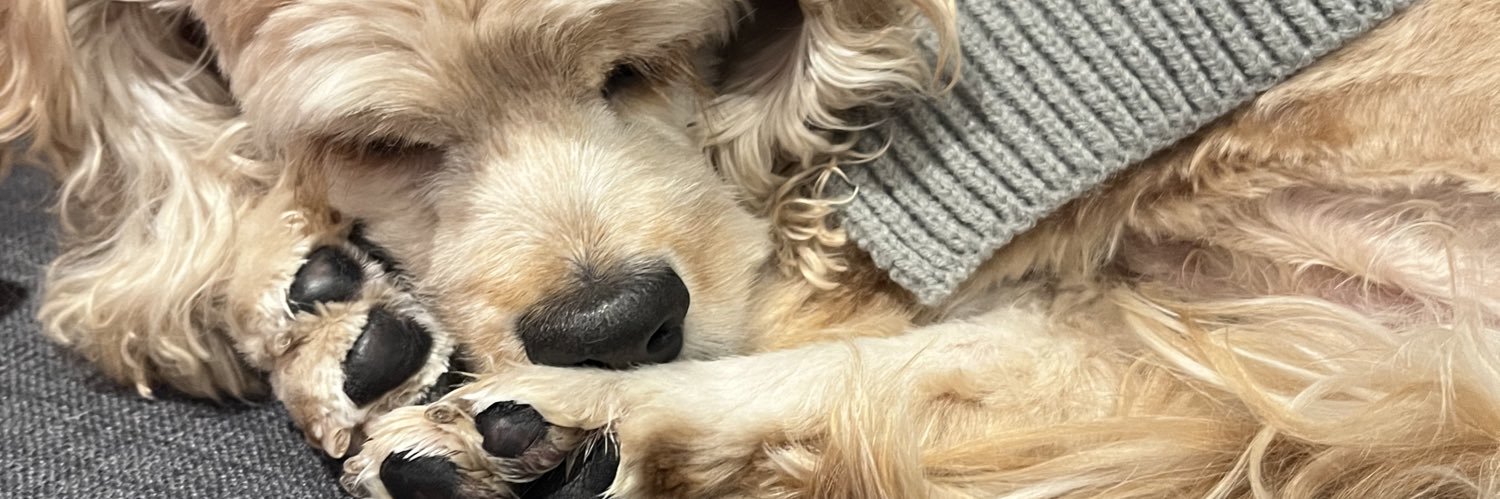 julissaa28's profile banner image