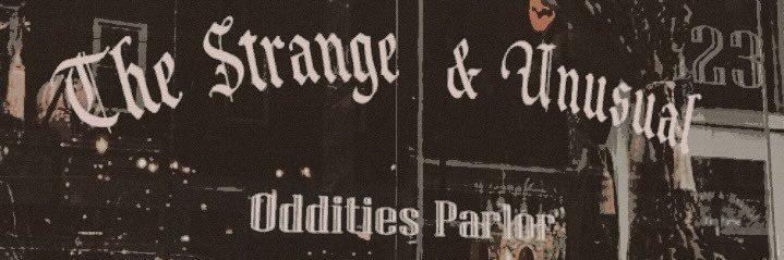 𝒍𝒐𝒌𝒊 𝒔𝒕𝒆𝒊𝒏𝒆𝒓𝒕 . banner