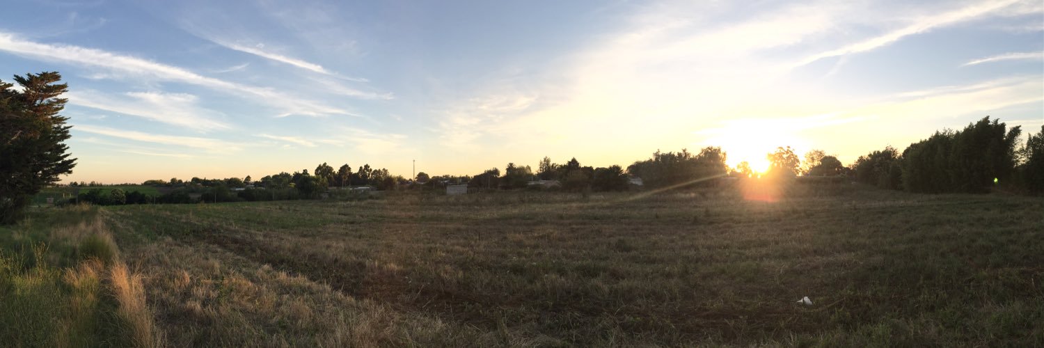 MSanguinetti_'s profile banner image