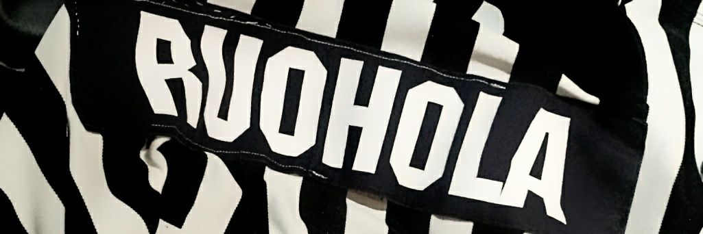 P0larFox's profile banner image