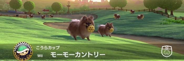 Doopliss39's profile banner image
