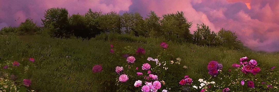 Beckk_Weber's profile banner image