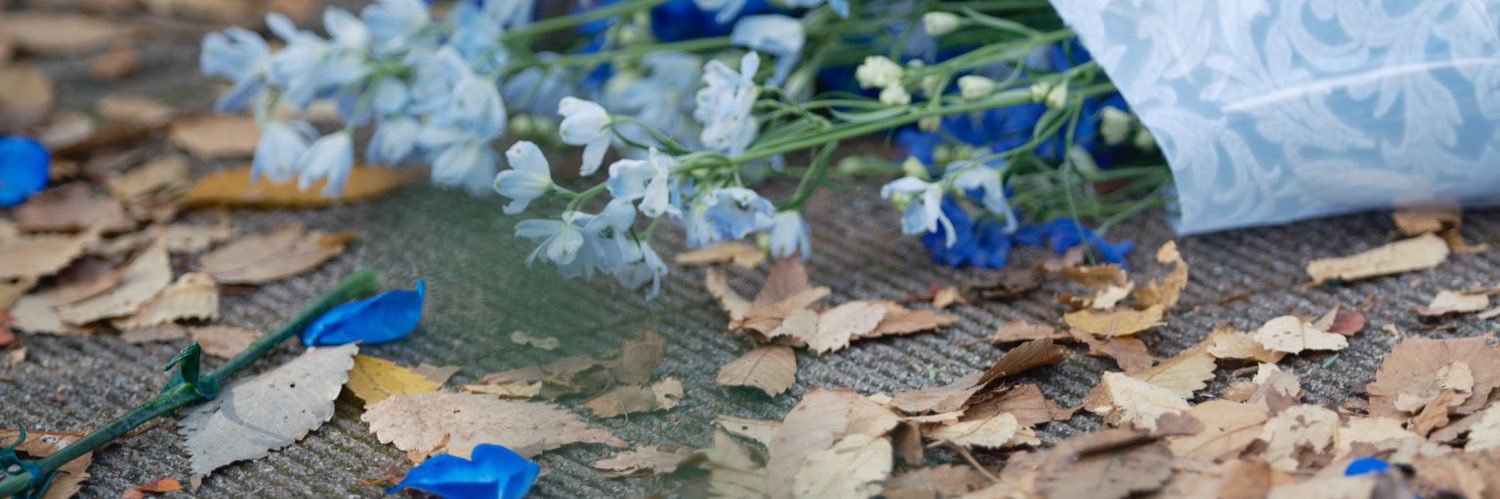 名称未設定 banner