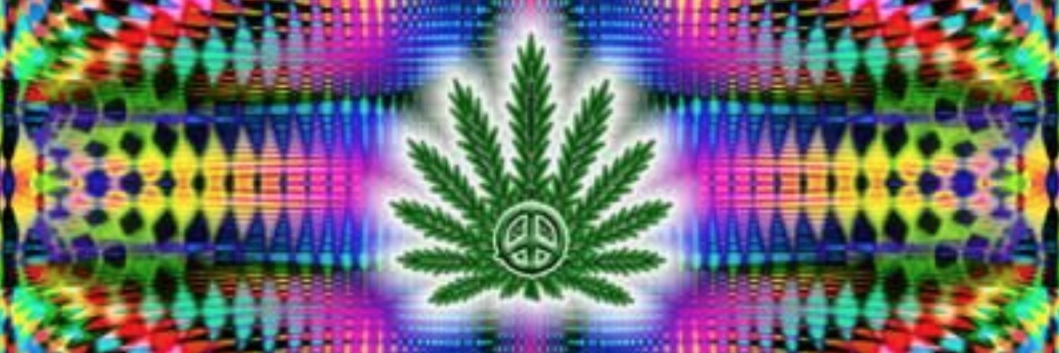 user1123421346's profile banner image