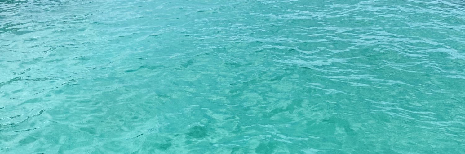 ellese🦋 banner