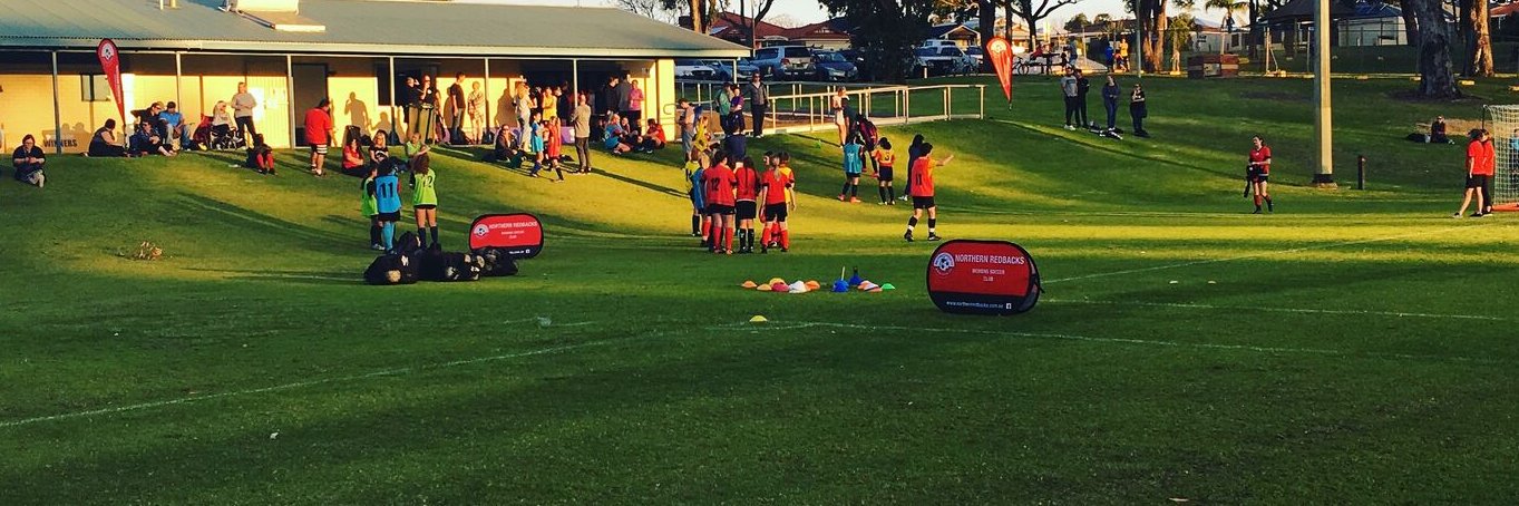 Northern Redbacks banner