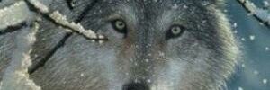 kevinariddle's profile banner image