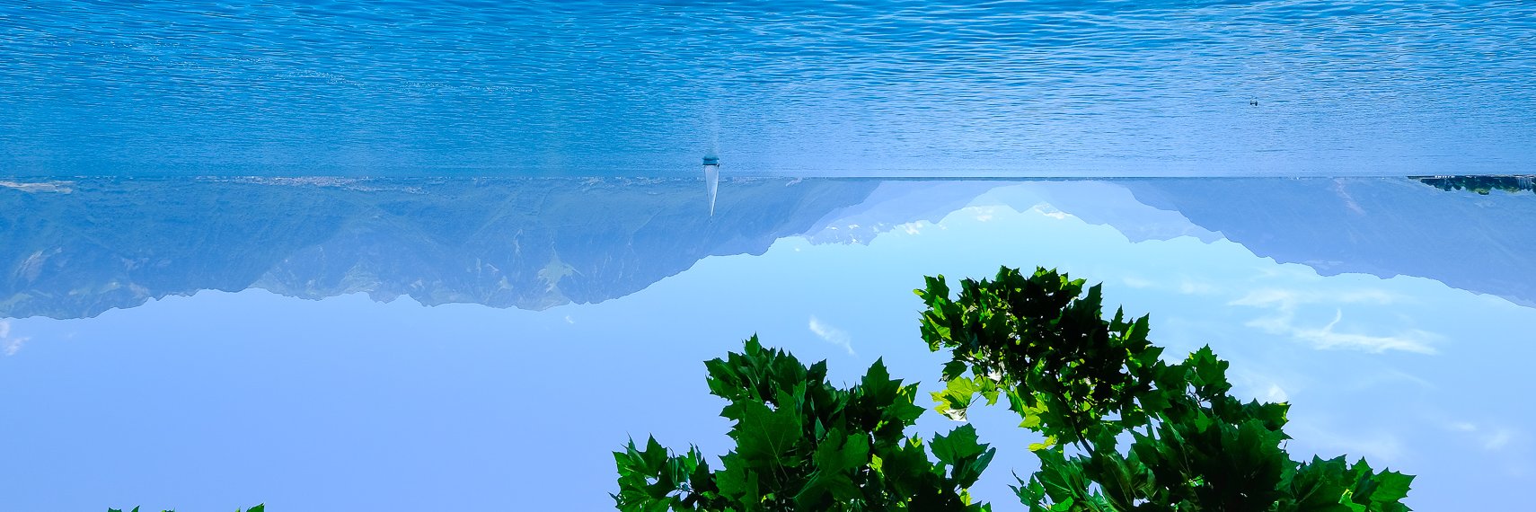 The Blue Badger banner