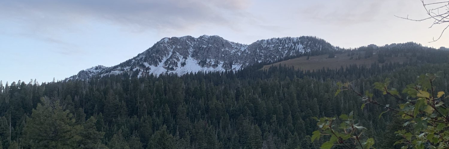 zman1911's profile banner image