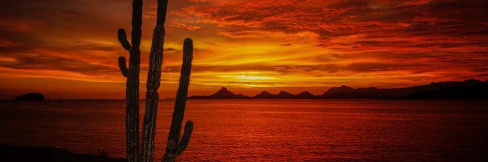 hanemdc's profile banner image