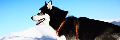 คิดถึงมะนาวมากมาย banner