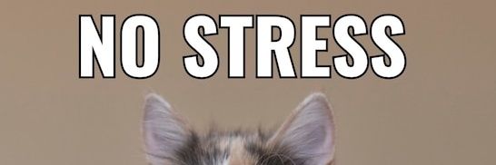 Funmeme banner