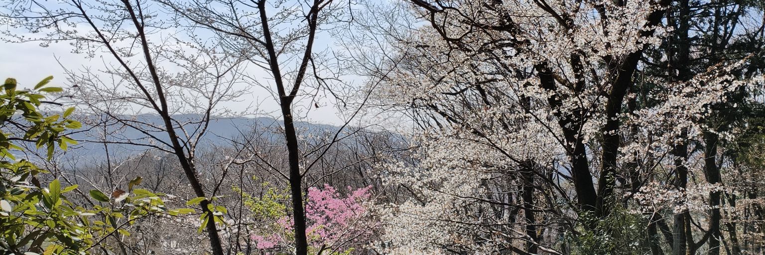 htmlkun_sub's profile banner image