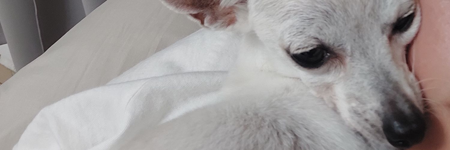 petitem99's profile banner image