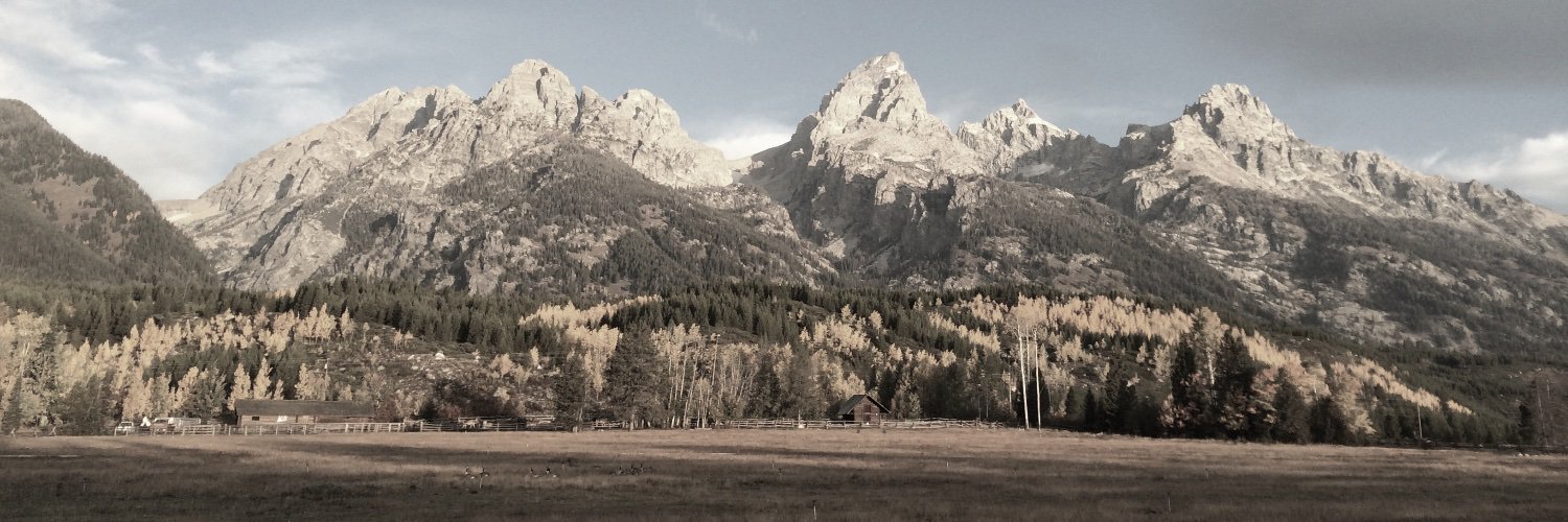 steffensr's profile banner image