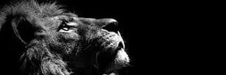 𝐄𝐫𝐞𝐧¹⁹⁰⁵ banner