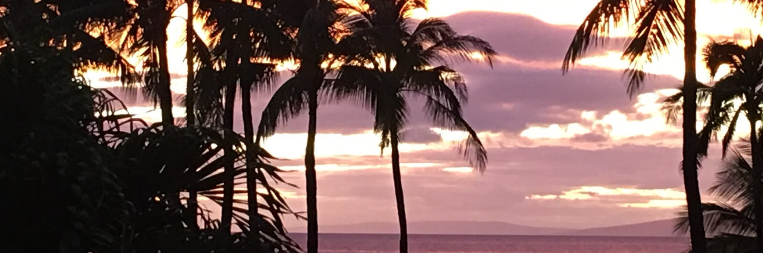 jermruiz's profile banner image