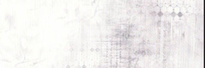 Atomicviltrum's profile banner image