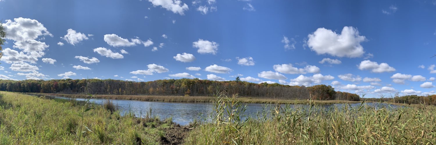 Carolina Cruz banner