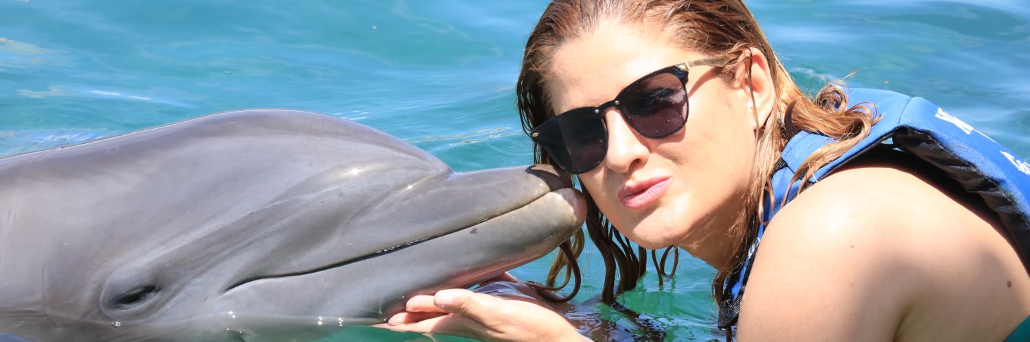 josipaulaaa's profile banner image
