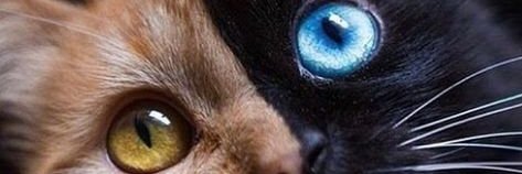 gzde746's profile banner image