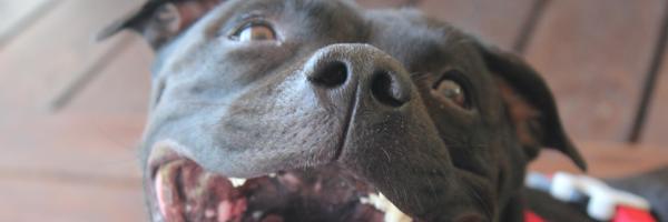 mitja12 Profile Banner