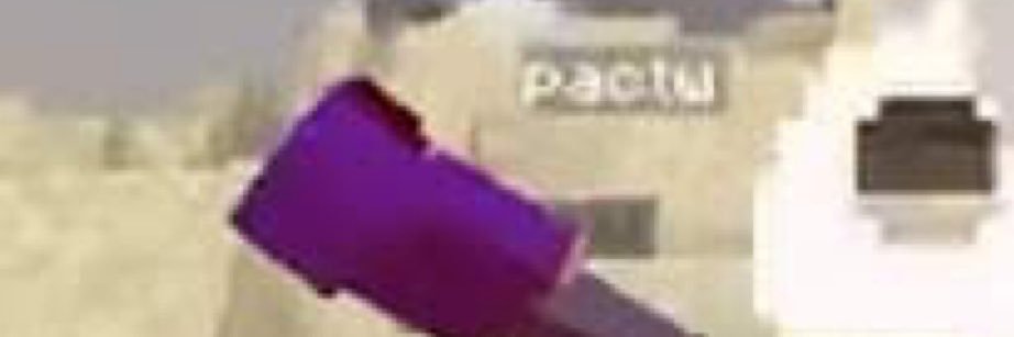 angel's banner