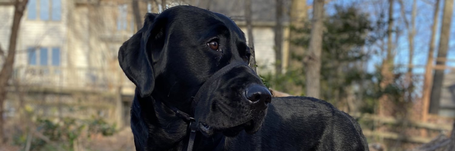 valtin98765's profile banner image