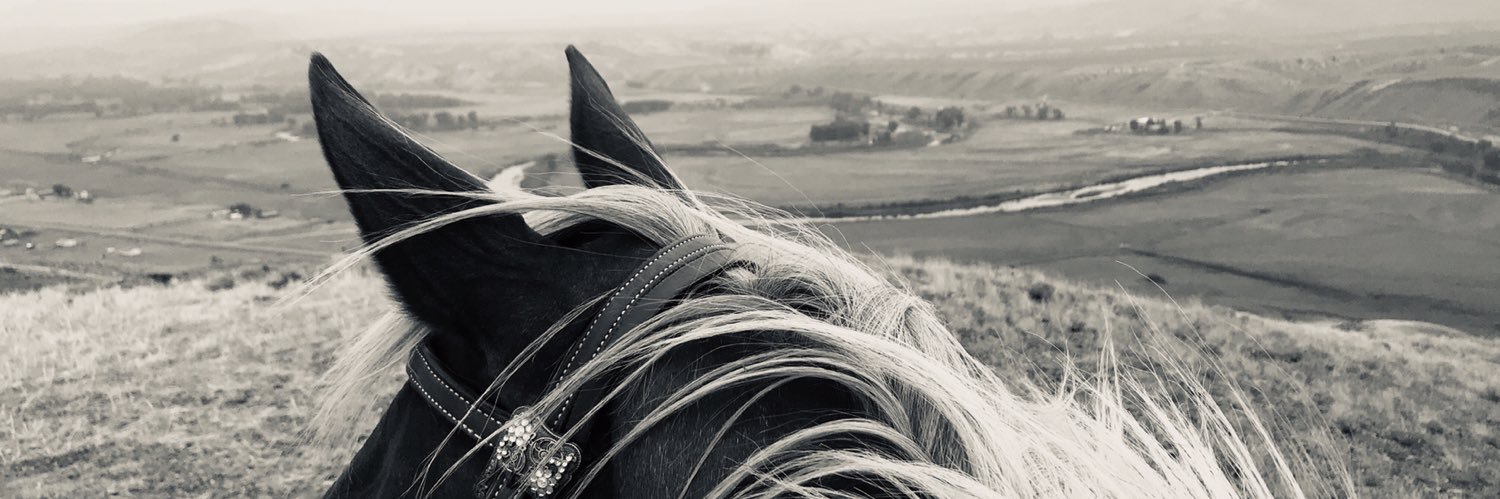 desantik6's profile banner image