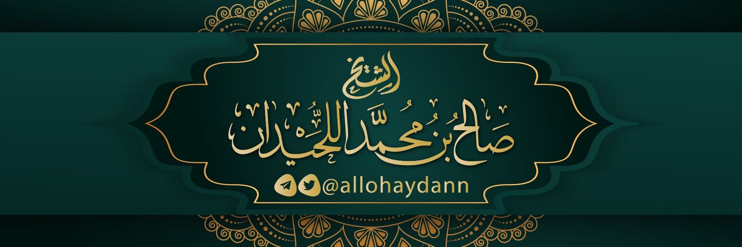 allohaydann's profile banner image