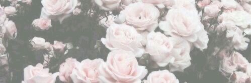 KK banner