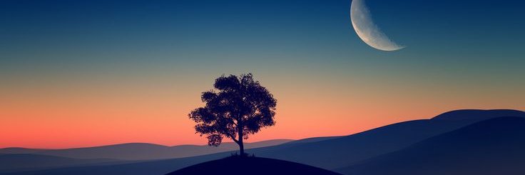 LouisSleeps's profile banner image