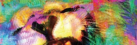 Alejandro Payan banner