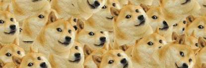 TeachMeHowToDoge banner