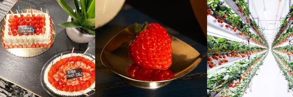 ryujiikesue Profile Banner