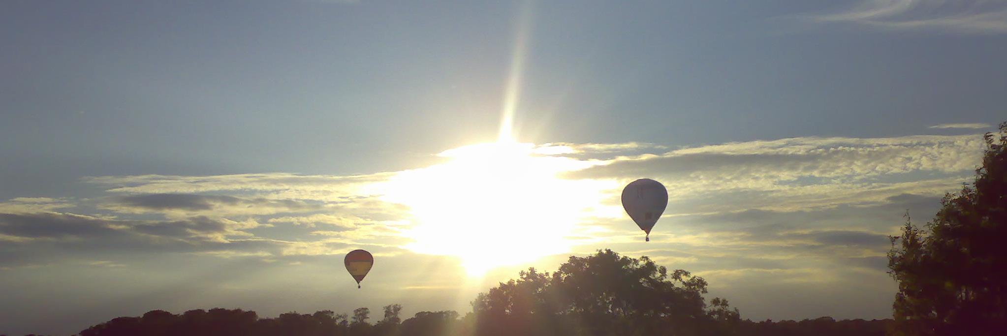 Lucie Mitchell banner